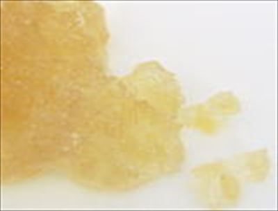 タカ フォルテ フジリンゴ　１Ｋg×６