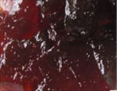 タカ CS コーヒーゼリー フィリング　１Ｋg×６