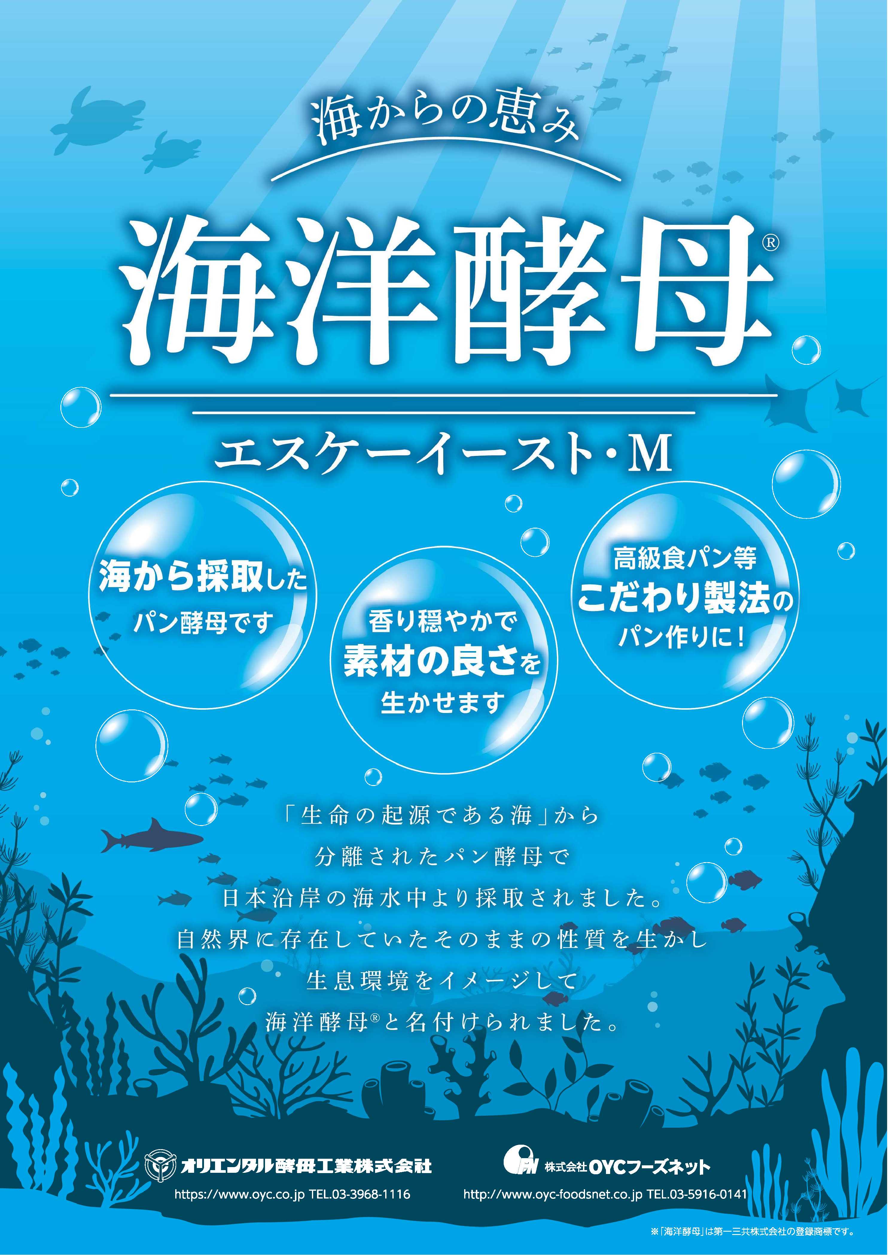 エスケーイーストＭ　　 ５００g