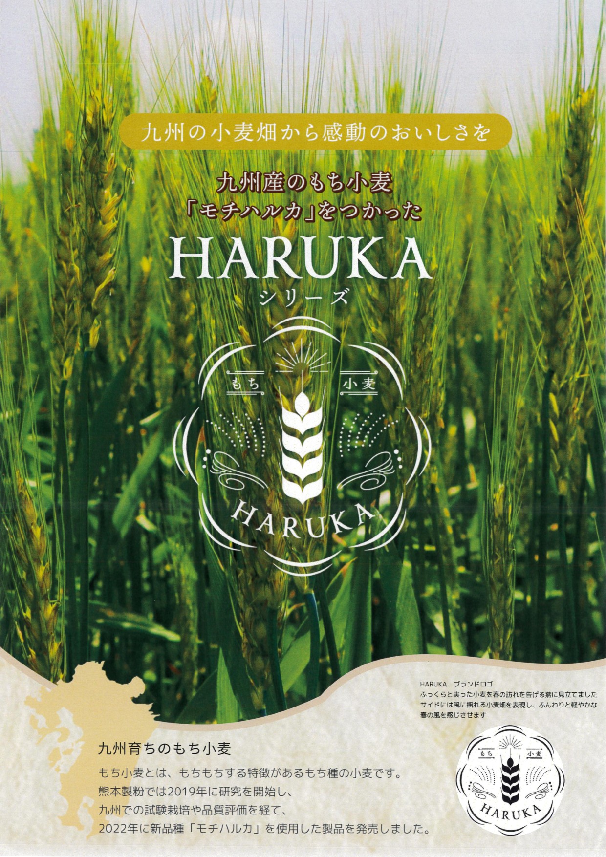 熊本製粉 もち小麦粉 紅　　１５Ｋg